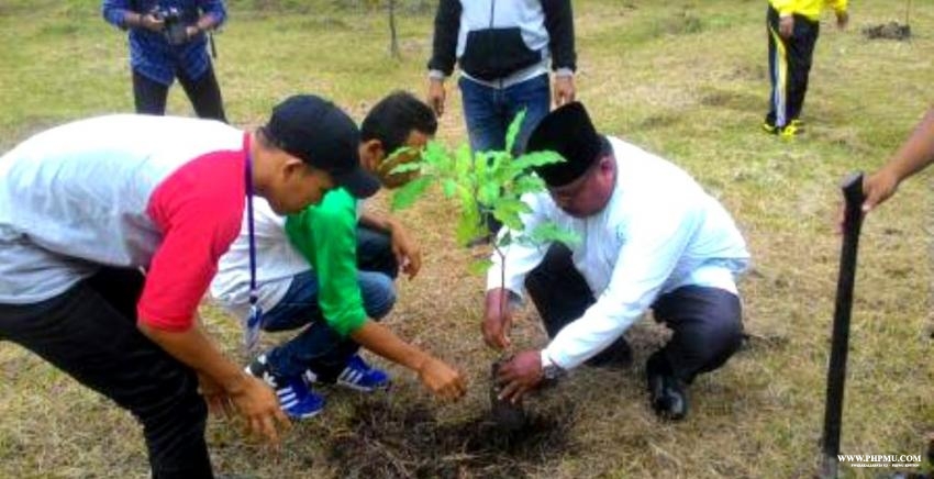 KUA Bantan melakukan penanaman pohon